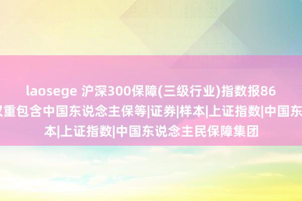 laosege 沪深300保障(三级行业)指数报867.70点，前十大权重包含中国东说念主保等|证券|样本|上证指数|中国东说念主民保障集团