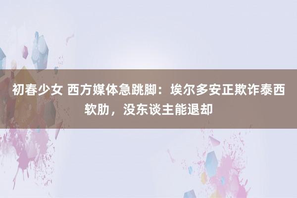 初春少女 西方媒体急跳脚：埃尔多安正欺诈泰西软肋，没东谈主能退却