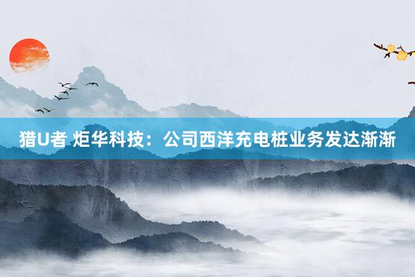 猎U者 炬华科技：公司西洋充电桩业务发达渐渐