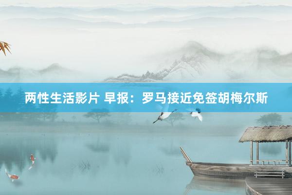 两性生活影片 早报：罗马接近免签胡梅尔斯