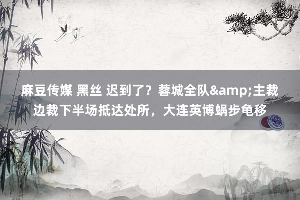 麻豆传媒 黑丝 迟到了？蓉城全队&主裁边裁下半场抵达处所，大连英博蜗步龟移