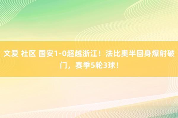 文爱 社区 国安1-0超越浙江！法比奥半回身爆射破门，赛季5轮3球！